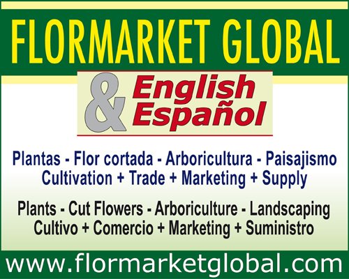 Flormarket-banner-1