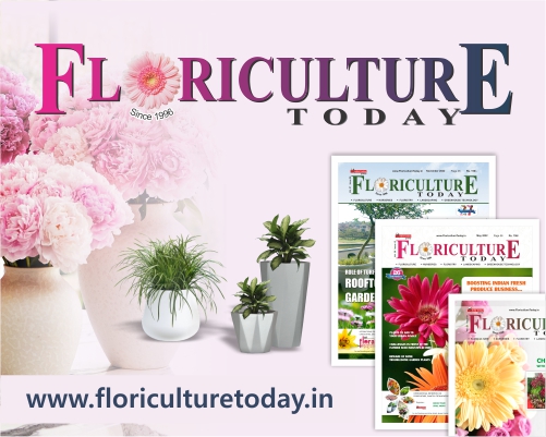 Floriculture Today-Web banner (1)